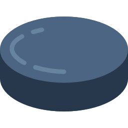 Puck icon