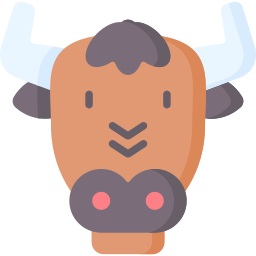 stier icon