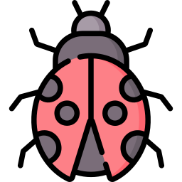 Ladybug icon