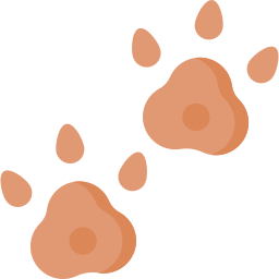 Footprint icon