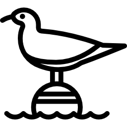 Seagull icon