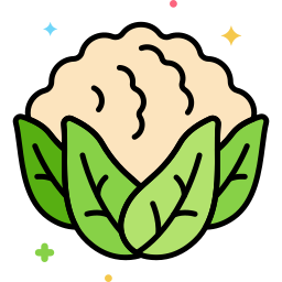 blumenkohl icon