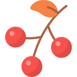 Berries icon