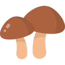 Mushrooms icon