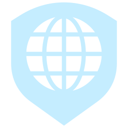 Internet security icon