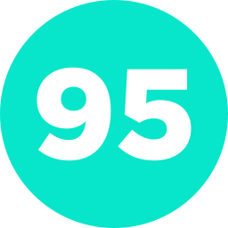 95 icon