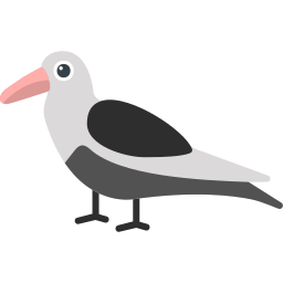 Oystercatcher icon