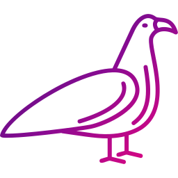 Bird icon