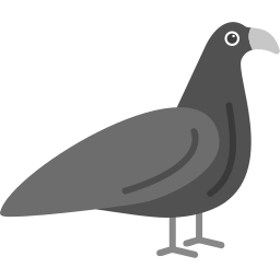 Bird icon