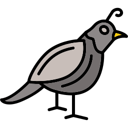 Quail icon