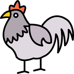 Chicken icon