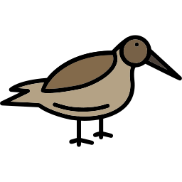 alpenstrandläufer icon