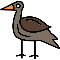 Heron icon