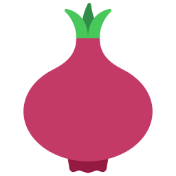 Onion icon