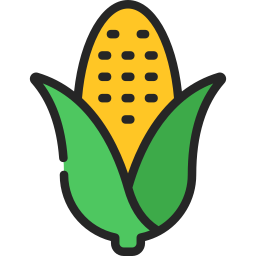 Corn cob icon