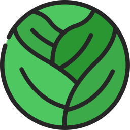 Cabbage  icon