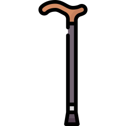 Walking stick icon