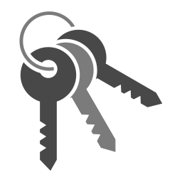 Key Set icon