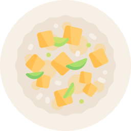 tofu icon