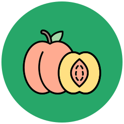 pfirsich icon