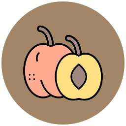 Apricot icon