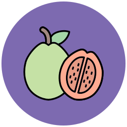 Guava icon