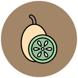 kiwi icon