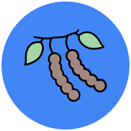 tamarinde icon