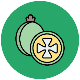 feijoa icon