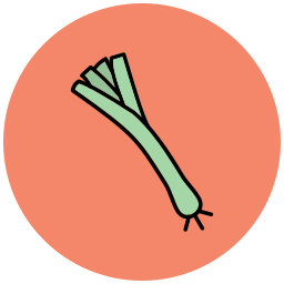 Leek icon