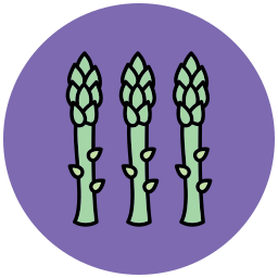 Asparagus icon