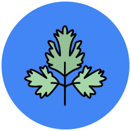 Parsley icon