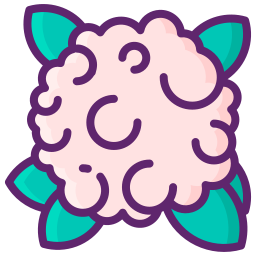 Cauliflower icon