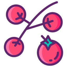 Cherry tomato icon