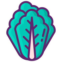 Chinese cabbage icon