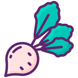 Radish icon