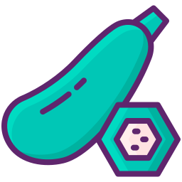 Zucchini icon