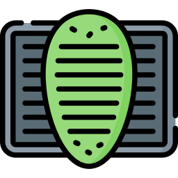 Roasted cactus icon