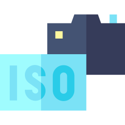 Iso icon