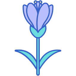 Crocus icon