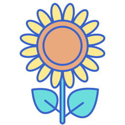 Sunflower icon