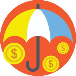 Investment insurance icon