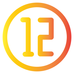 12 icon