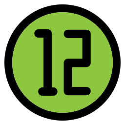 12 icon