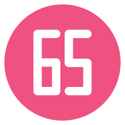 65 Ícone