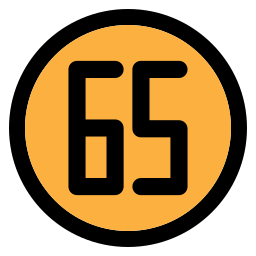 65 icon