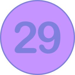 29 icon