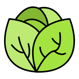 Cabbage  icon