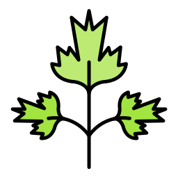 Parsley icon