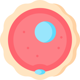 ovum icon